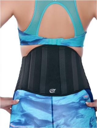 Picture of Industrial Lumbar Support