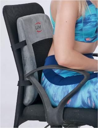 Picture of Back Rest Support - Universal