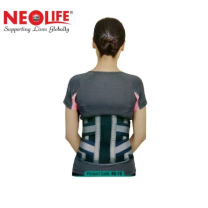 Picture of Neolife Contoured L.S. Support 12"