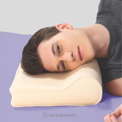 Picture of Flamingo Cervical Pillow