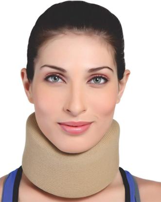 Picture of Flamingo Soft Collar