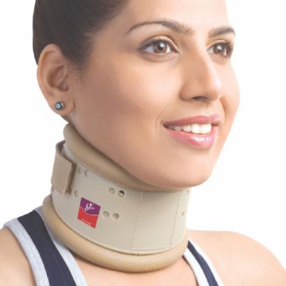 Picture of Flamingo Hard Collar