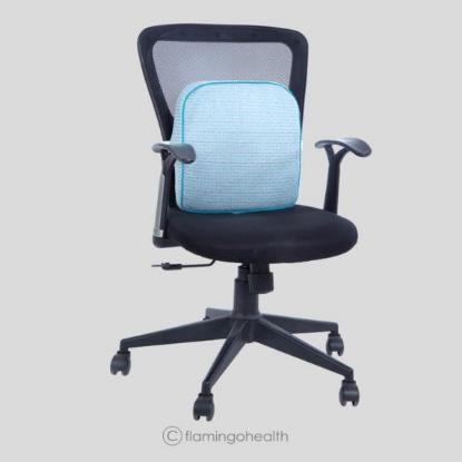 Picture of Flamingo Memory Foam Back Rest (Without Stand)