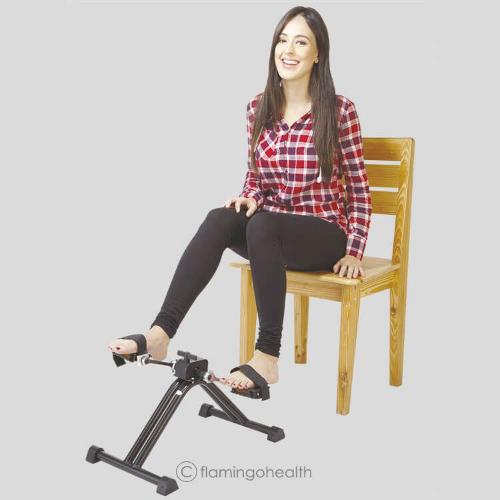 Picture of Flamingo Exercise Cycle