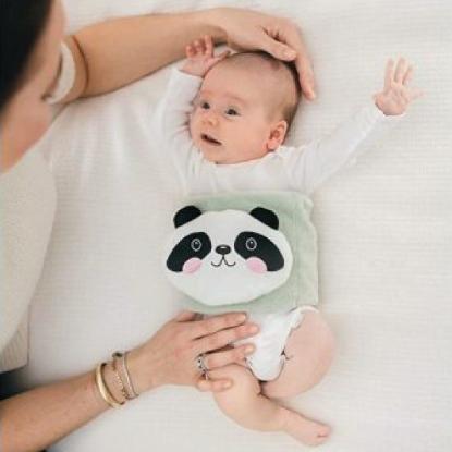 Picture of Dr. Brown's Infant Gripebelt, Panda (HG113)