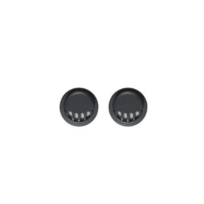 Picture of Air Valves (2 sets)