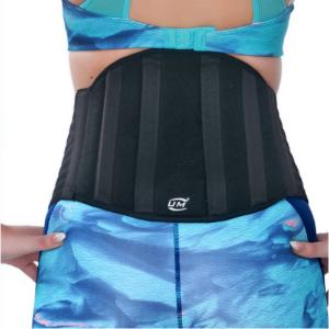 Picture of Industrial Lumbar Support