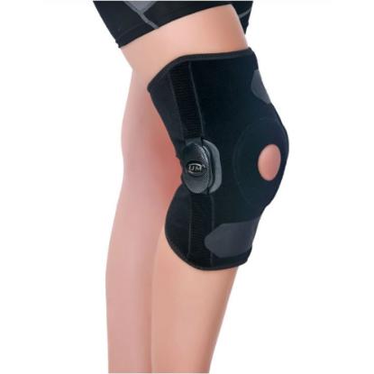 Picture of Polycentric Knee Brace