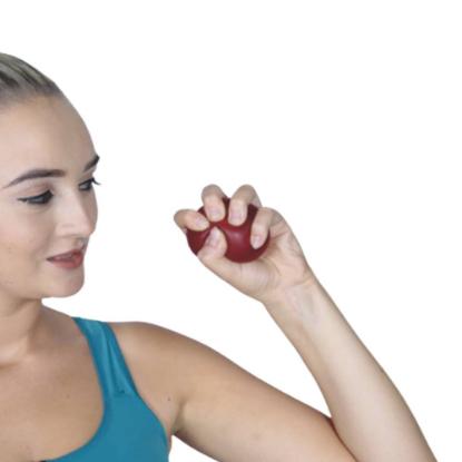 Picture of Exercise Gel Ball Universal