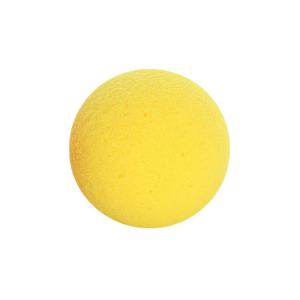 Picture of Neolife Exercising Ball Foam