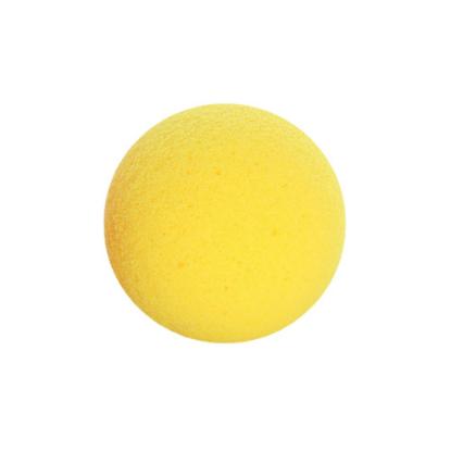 Picture of Neolife Exercising Ball Foam